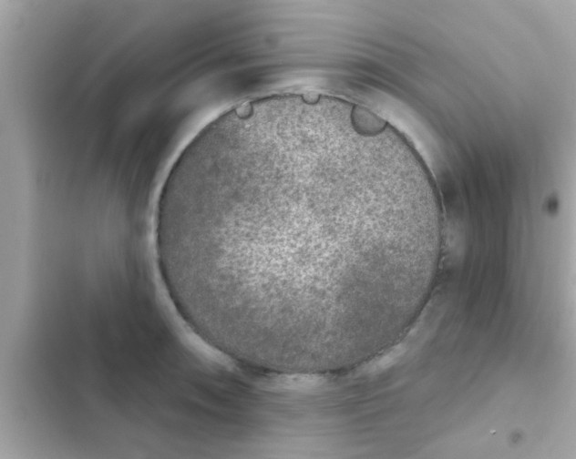 X0000102401090200808151937