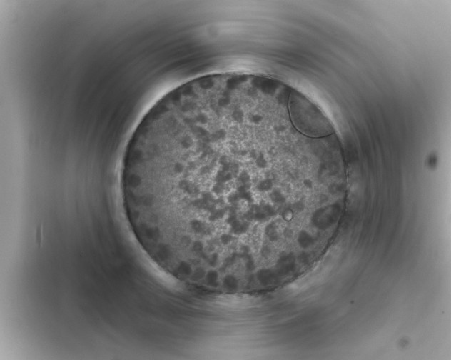 X0000102401091200808151937