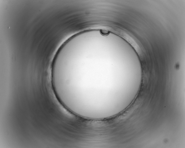 X0000102401092200808151937