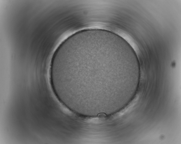 X0000102401093200808151937