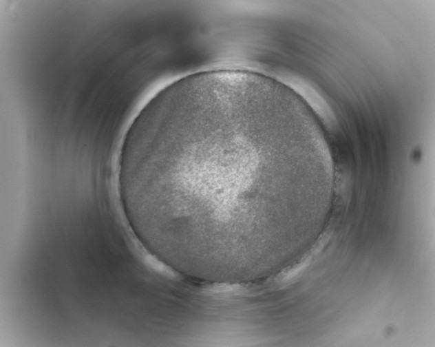 X0000102401094200808151937