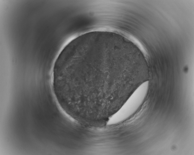 X0000102401095200808151937