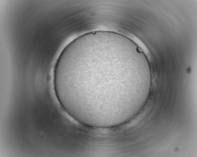 X0000102401096200808151937