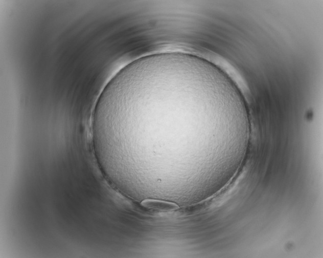 X0000102401097200808151937