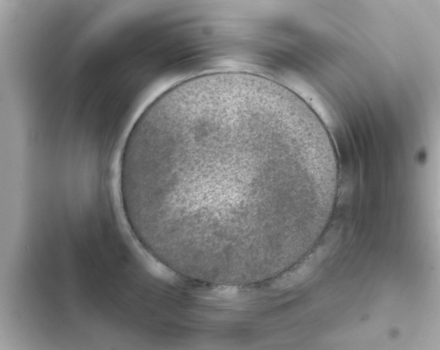 X0000102401098200808151937