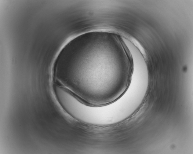 X0000102401099200808151937