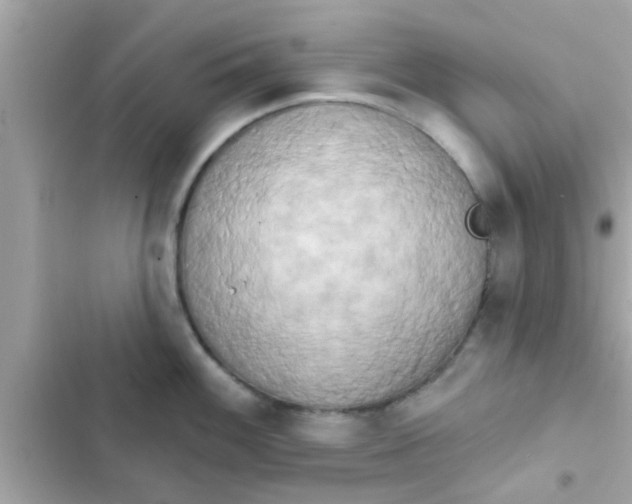 X0000102401100200808151937