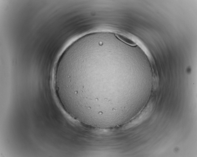 X0000102401101200808151937