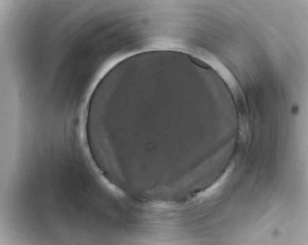 X0000102401102200808151937