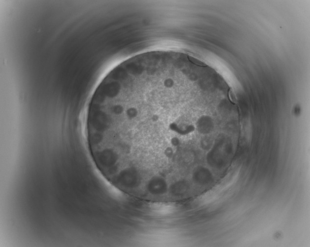 X0000102401103200808151937