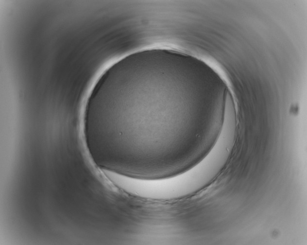 X0000102401104200808151937