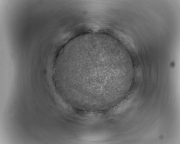 X0000102401105200808151937