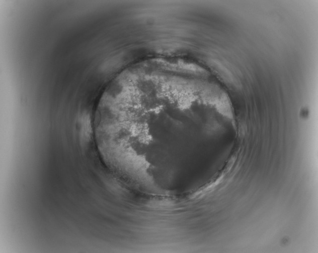 X0000102401106200808151937