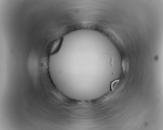 X0000102401107200808151937