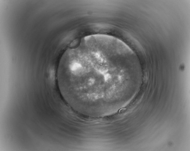 X0000102401108200808151937