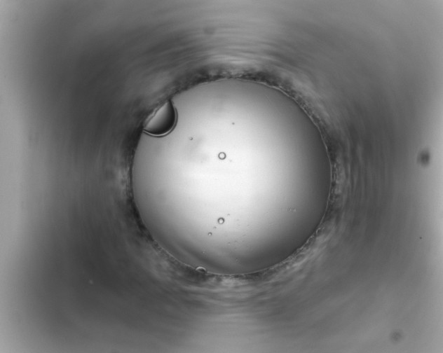 X0000102401109200808151937