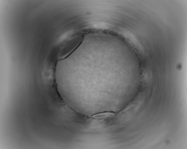 X0000102401110200808151937