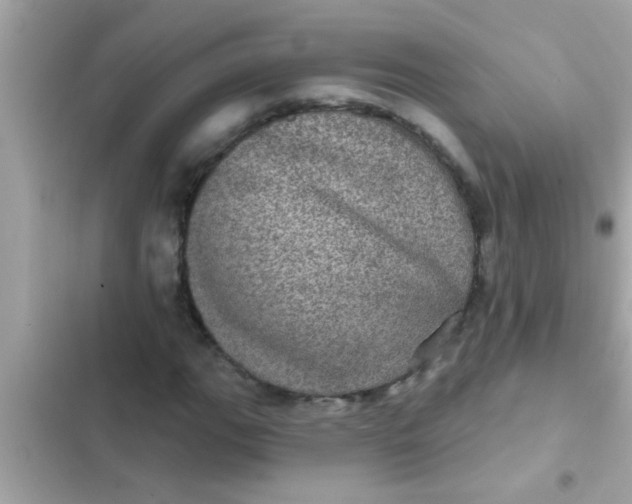 X0000102401111200808151937