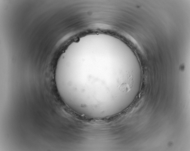 X0000102401112200808151937