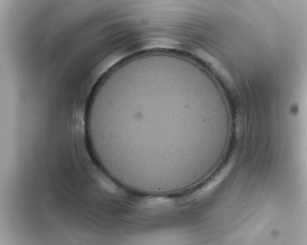 X0000102401113200808151937