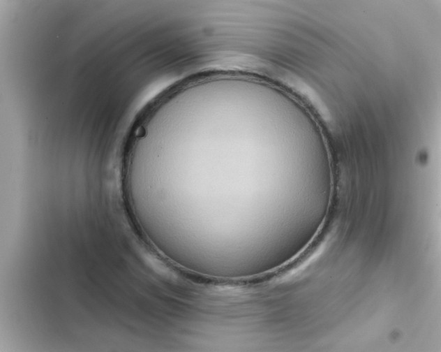 X0000102401114200808151937