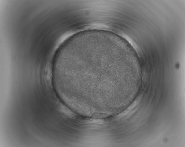 X0000102401115200808151937