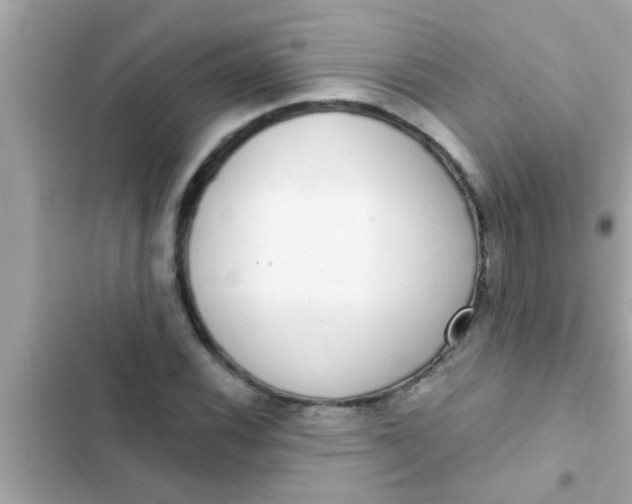 X0000102401116200808151937