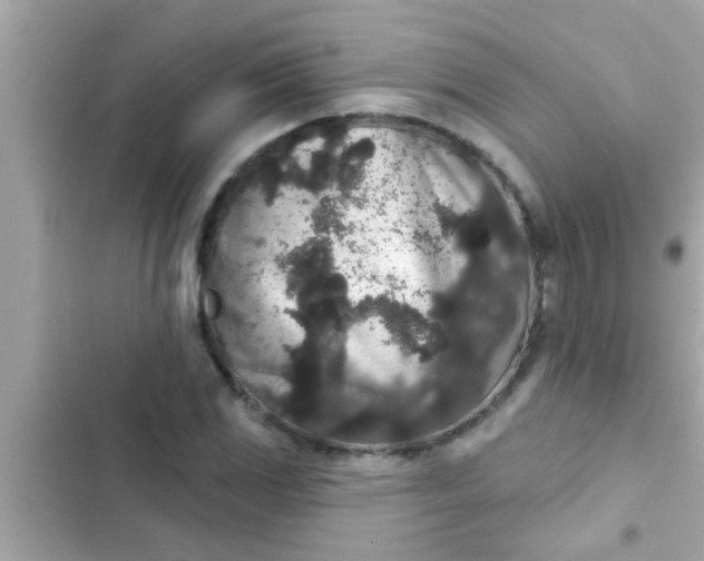 X0000102401117200808151937