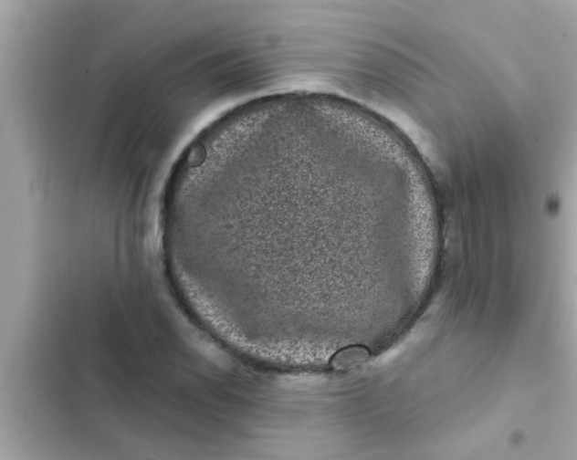 X0000102401118200808151937