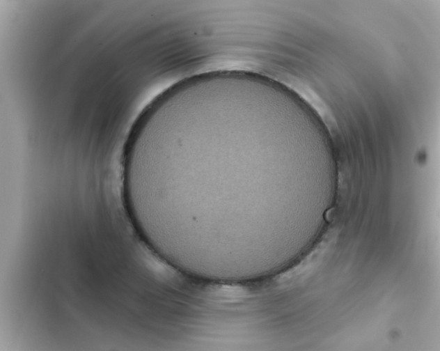 X0000102401119200808151937