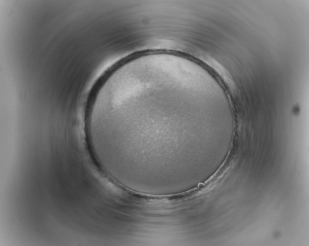 X0000102401120200808151937