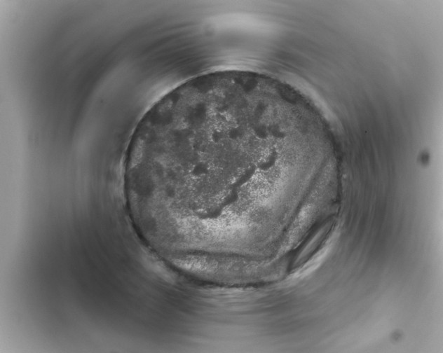 X0000102401121200808151937