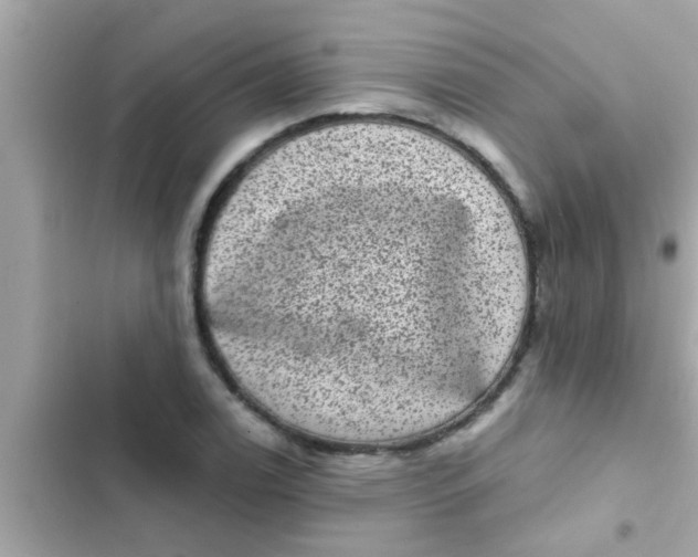 X0000102401122200808151937