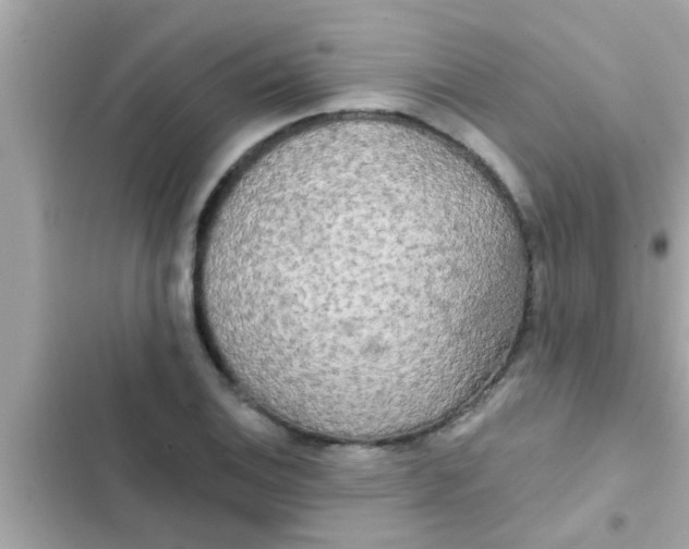 X0000102401124200808151937