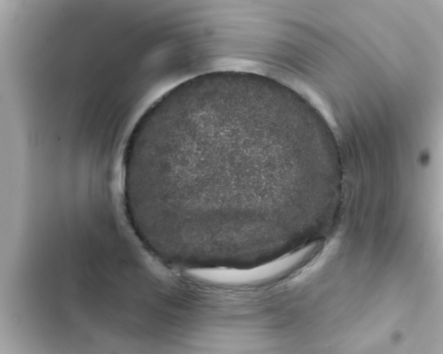 X0000102401125200808151937