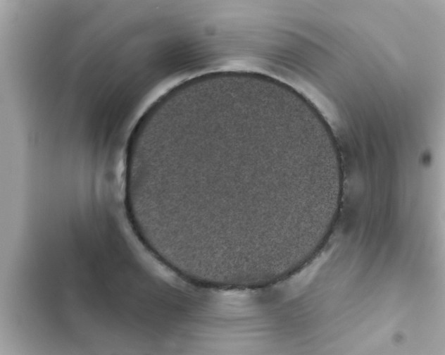 X0000102401126200808151937