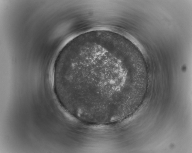 X0000102401127200808151937