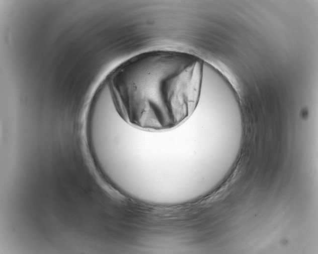 X0000102401128200808151937