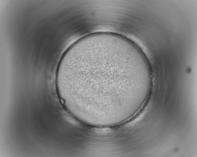 X0000102401129200808151937