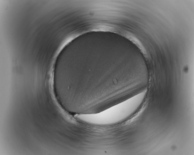 X0000102401130200808151937