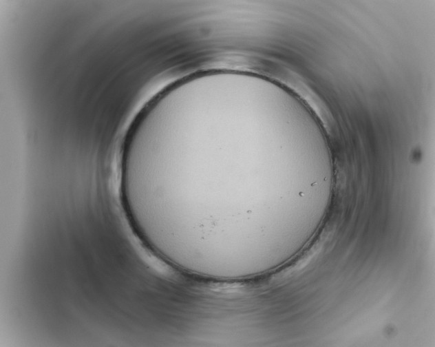 X0000102401131200808151937