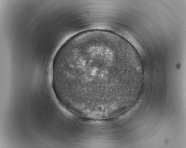 X0000102401132200808151937