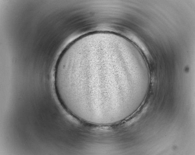 X0000102401133200808151937