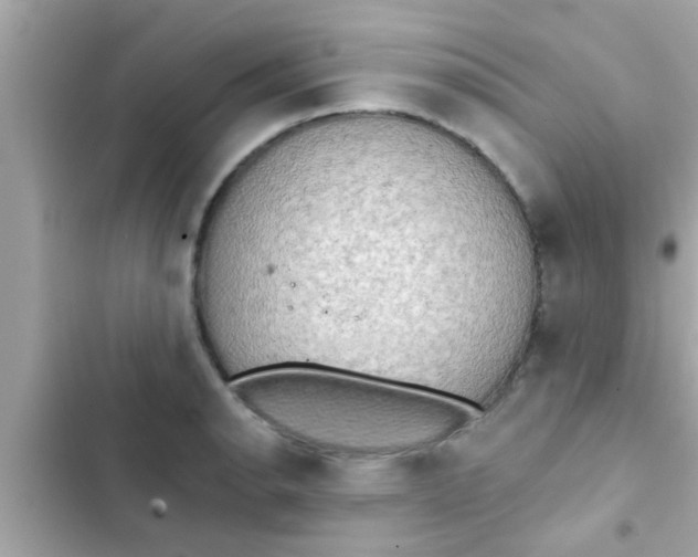 X0000102401134200808151937