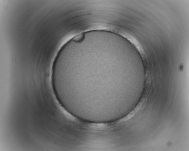 X0000102401135200808151937