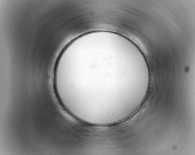 X0000102401136200808151937