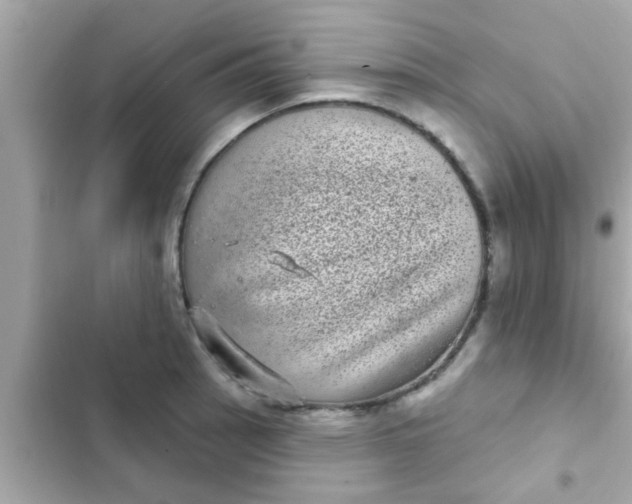 X0000102401137200808151937