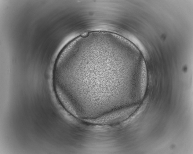 X0000102401138200808151937