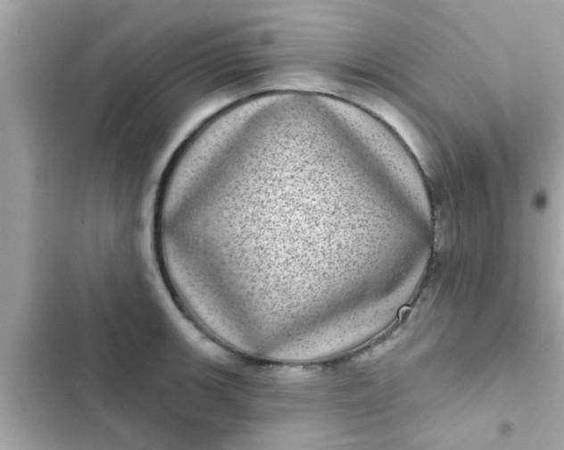 X0000102401139200808151937