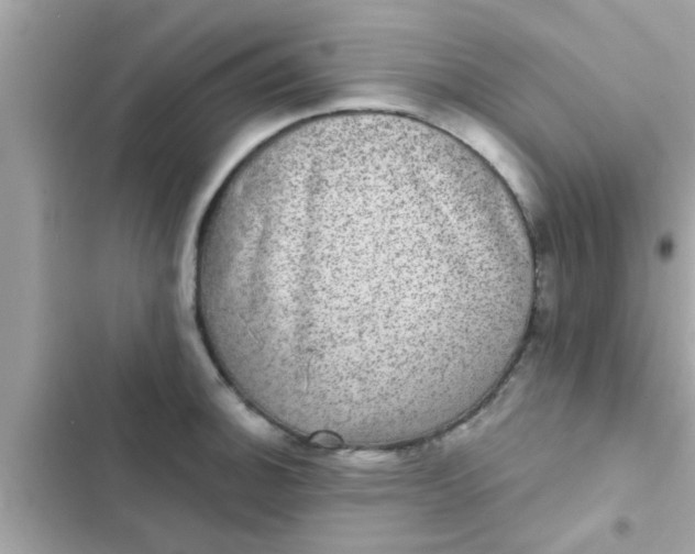 X0000102401140200808151937